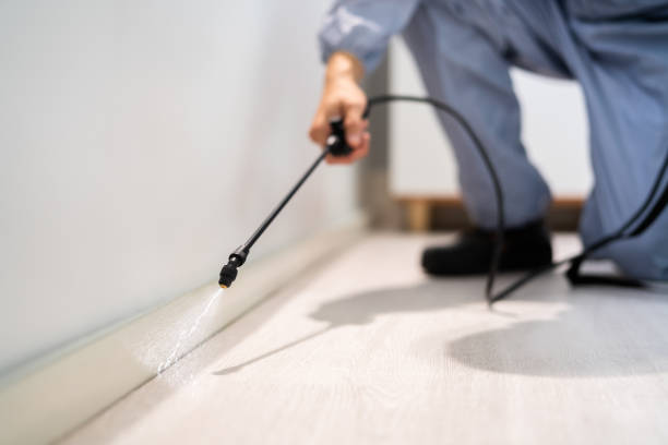 Licensed Mosquito Control service in Wilmington, NC - Show Me Pest Control