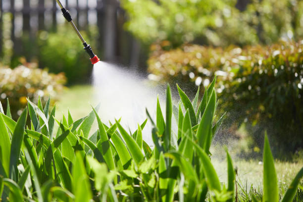 24/7 Emergency Mosquito Control experts in Wilmington, NC