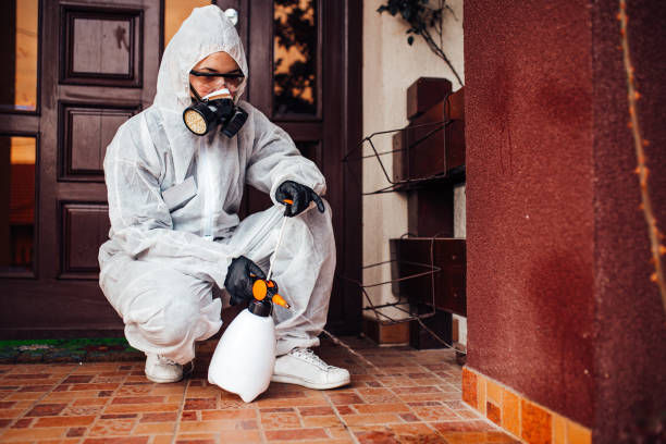 Reliable Mosquito Control contractor in Wilmington, NC by Show Me Pest Control