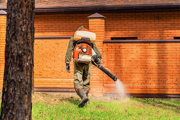 Top rated local Mosquito Control specialists in Wilmington, NC